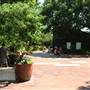 Dallas Arboretum & Botanical