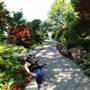 Dallas Arboretum & Botanical