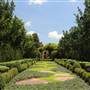 Dallas Arboretum & Botanical