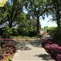 Dallas Arboretum & Botanical