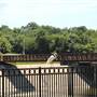 White Rock Lake Park (Overview)
