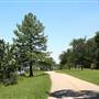 White Rock Lake Park (Overview)