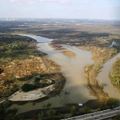Trinity Forest