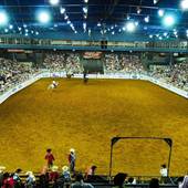 Mesquite Rodeo