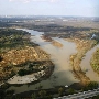 Trinity Forest
