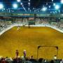 Mesquite Rodeo