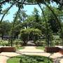 Dallas Arboretum & Botanical