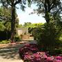 Dallas Arboretum & Botanical