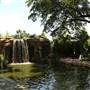 Dallas Arboretum & Botanical