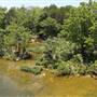 White Rock Lake Park (Overview)