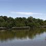 White Rock Lake Park (Overview)