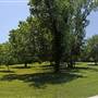 White Rock Lake Park (Overview)