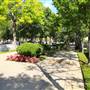 Lubben Plaza Park