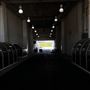 Fair Park - General - Updated