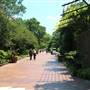 Dallas Arboretum & Botanical