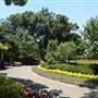 Dallas Arboretum & Botanical