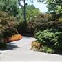 Dallas Arboretum & Botanical