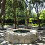 Dallas Arboretum & Botanical