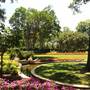 Dallas Arboretum & Botanical
