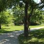 White Rock Lake Park (Overview)