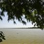 White Rock Lake Park (Overview)