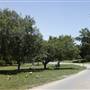 White Rock Lake Park (Overview)