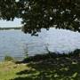 White Rock Lake Park (Overview)