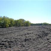 Parker Preserve