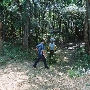 Trinity Forest
