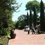 Dallas Arboretum & Botanical