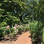Dallas Arboretum & Botanical