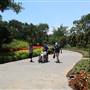Dallas Arboretum & Botanical