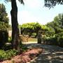 Dallas Arboretum & Botanical