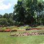 Dallas Arboretum & Botanical