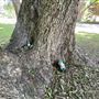 Kessler Park Neighborhood
