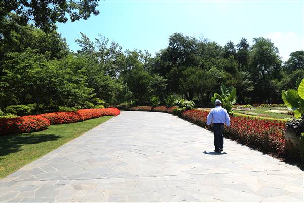 Dallas Arboretum & Botanical (7/15/2016)