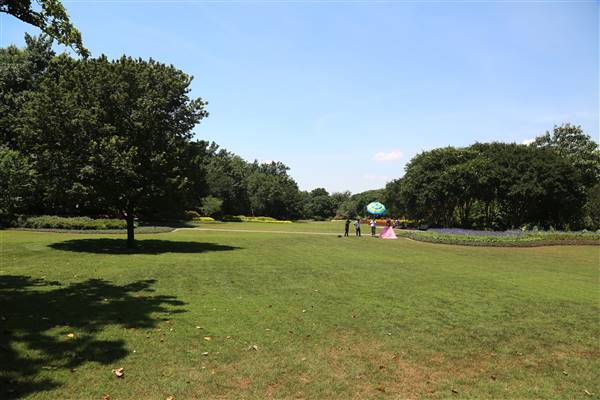 Dallas Arboretum & Botanical (7/15/2016)