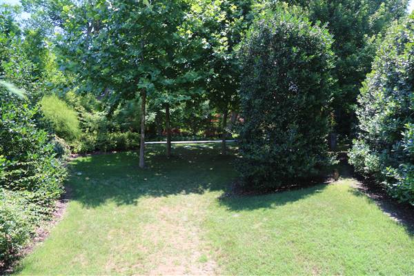 Dallas Arboretum & Botanical (7/15/2016)