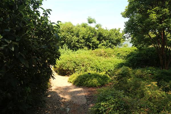 Dallas Arboretum & Botanical (7/15/2016)