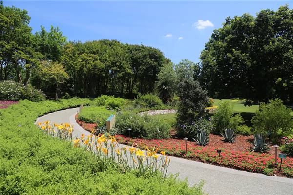 Dallas Arboretum & Botanical (7/15/2016)
