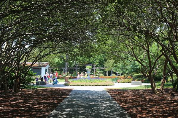 Dallas Arboretum & Botanical (7/15/2016)