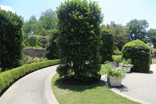 Dallas Arboretum & Botanical (7/15/2016)