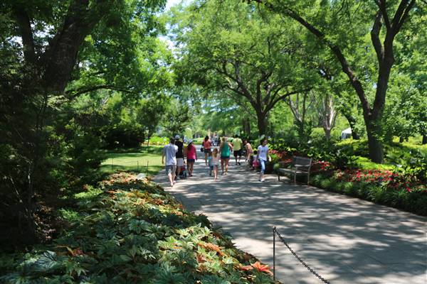 Dallas Arboretum & Botanical (7/15/2016)