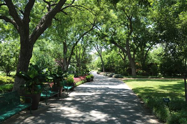 Dallas Arboretum & Botanical (7/15/2016)