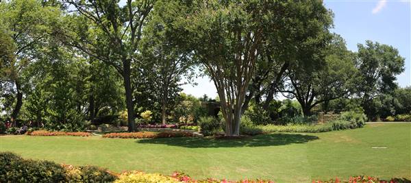 Dallas Arboretum & Botanical (7/15/2016)