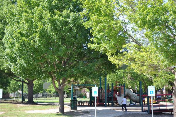 Kiest Park
