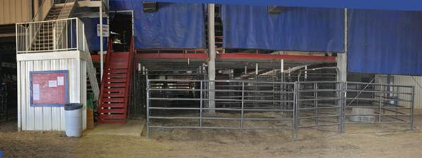 Mesquite Rodeo