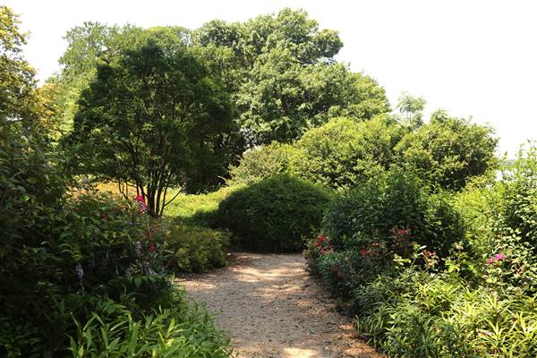 Dallas Arboretum & Botanical (7/15/2016)