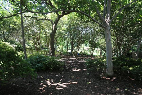 Dallas Arboretum & Botanical (7/15/2016)