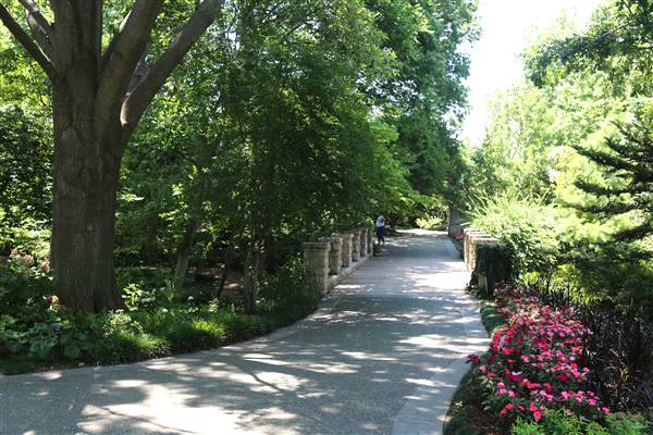 Dallas Arboretum & Botanical (7/15/2016)